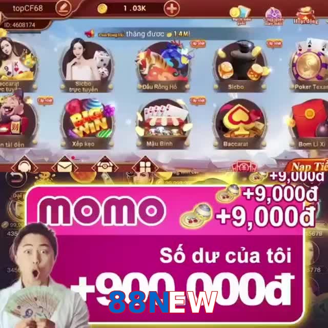 88NEW